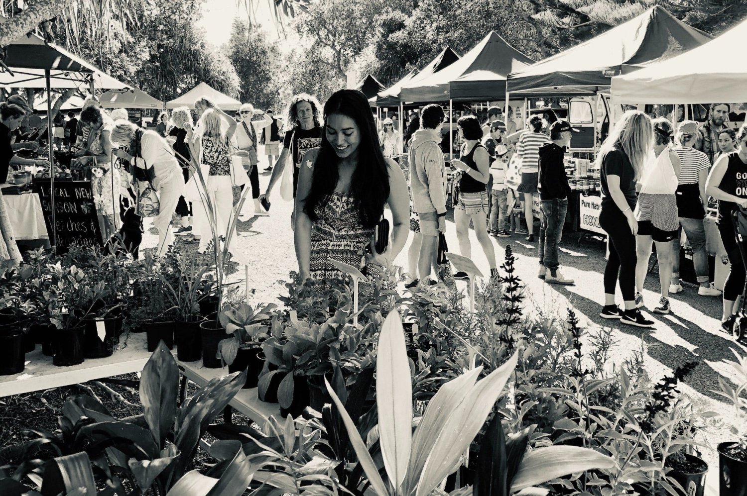 Yamba Farmers & Producers Market